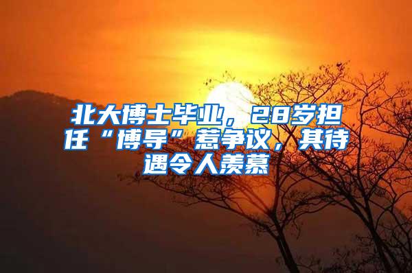 北大博士毕业，28岁担任“博导”惹争议，其待遇令人羡慕