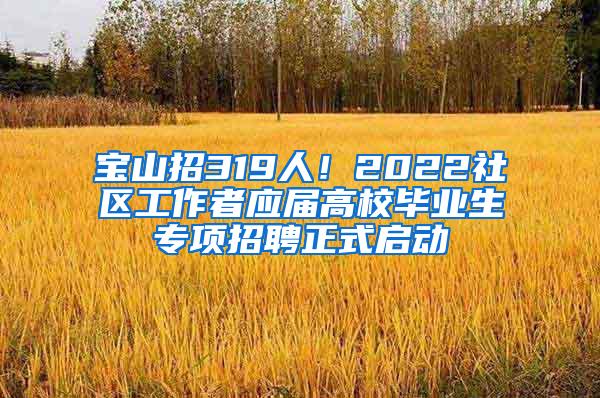 宝山招319人！2022社区工作者应届高校毕业生专项招聘正式启动