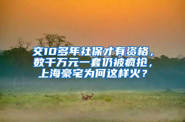 交10多年社保才有资格，数千万元一套仍被疯抢，上海豪宅为何这样火？