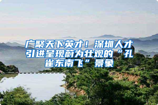 广聚天下英才！深圳人才引进呈现蔚为壮观的“孔雀东南飞”景象