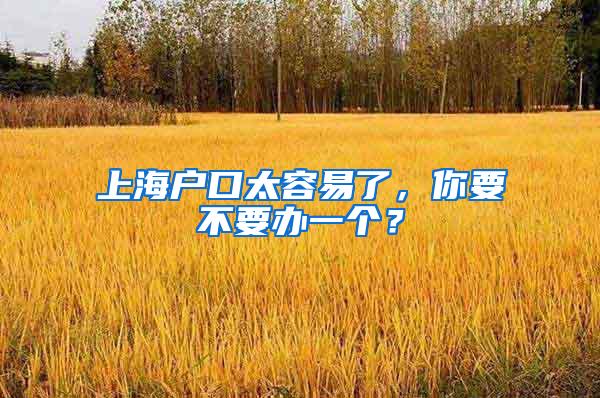 上海户口太容易了,你要不要办一个?