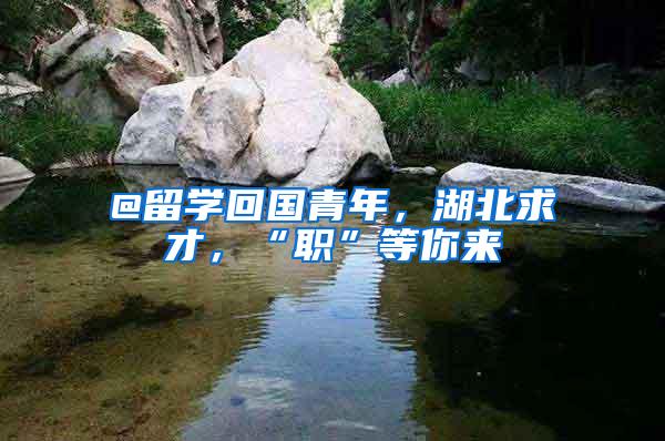 @留学回国青年,湖北求才,“职”等你来