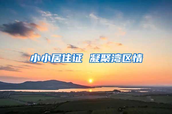 小小居住证 凝聚湾区情