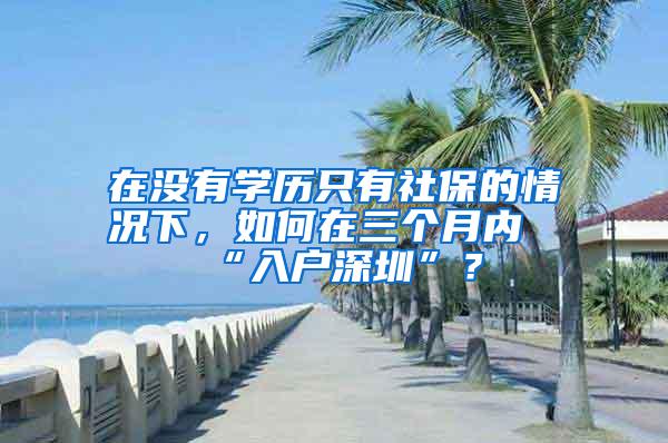 在没有学历只有社保的情况下,如何在三个月内“入户深圳”?