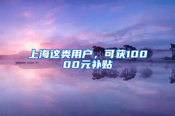 上海这类用户，可获10000元补贴