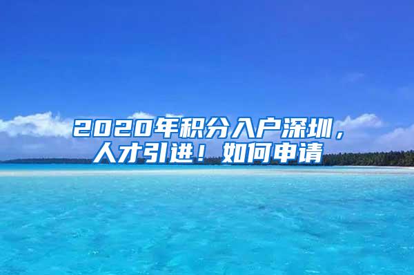 2020年积分入户深圳，人才引进！如何申请