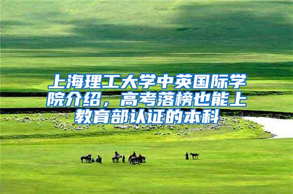 上海理工大学中英国际学院介绍，高考落榜也能上教育部认证的本科