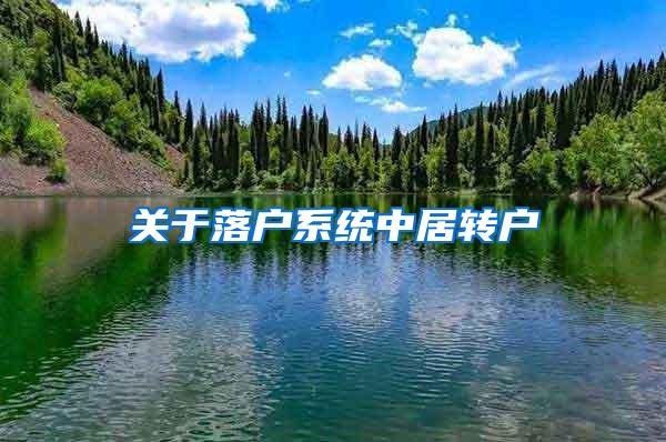 关于落户系统中居转户