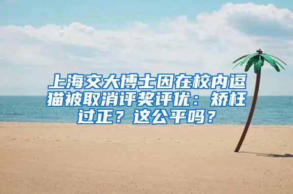 上海交大博士因在校内逗猫被取消评奖评优:矫枉过正?这公平吗?
