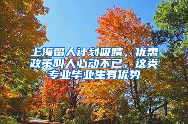 上海留人计划吸睛，优惠政策叫人心动不已，这类专业毕业生有优势