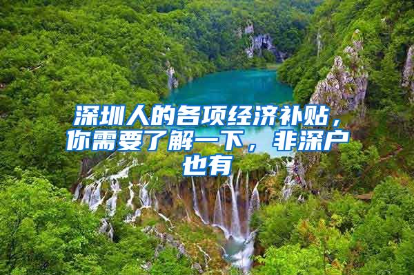 深圳人的各项经济补贴，你需要了解一下，非深户也有
