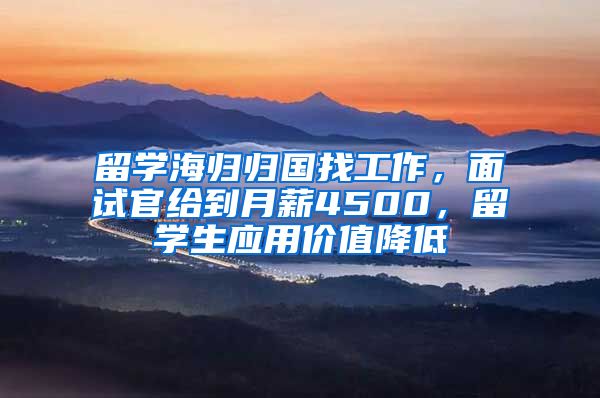 留学海归归国找工作,面试官给到月薪4500,留学生应用价值降低