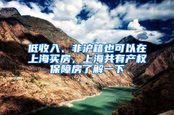 低收入、非沪籍也可以在上海买房，上海共有产权保障房了解一下