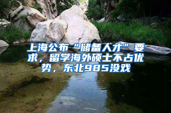 上海公布“储备人才”要求，留学海外硕士不占优势，东北985没戏