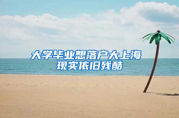 大学毕业想落户大上海 现实依旧残酷