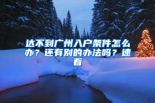 达不到广州入户条件怎么办？还有别的办法吗？速看