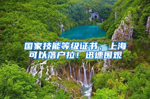 国家技能等级证书,上海可以落户拉!迅速围观