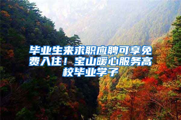 毕业生来求职应聘可享免费入住！宝山暖心服务高校毕业学子