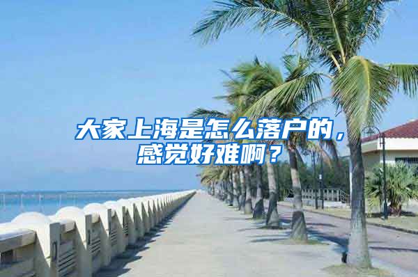 大家上海是怎么落户的，感觉好难啊？