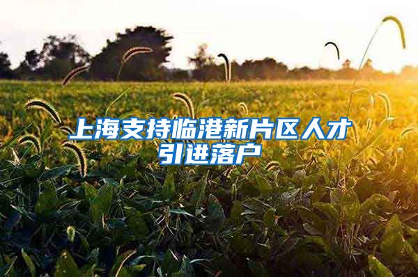 上海支持临港新片区人才引进落户