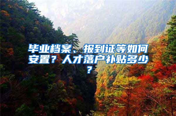 毕业档案、报到证等如何安置？人才落户补贴多少？