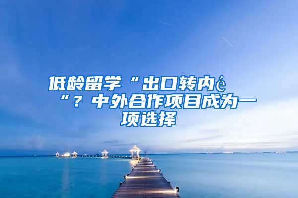 低龄留学“出口转内销“？中外合作项目成为一项选择