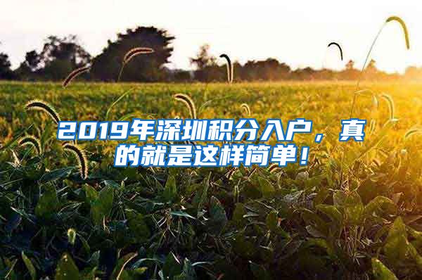 2019年深圳积分入户,真的就是这样简单!