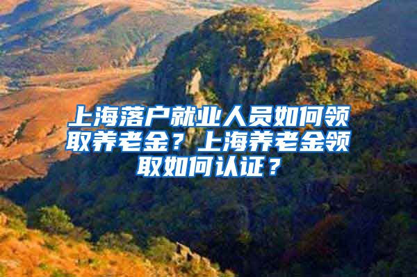 上海落户就业人员如何领取养老金?上海养老金领取如何认证?