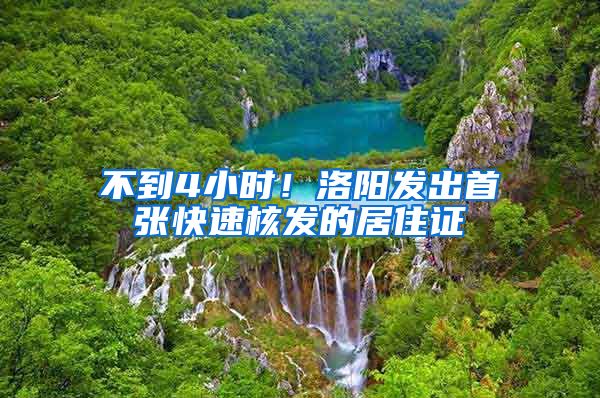 不到4小时!洛阳发出首张快速核发的居住证