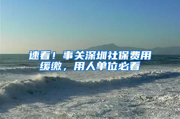 速看！事关深圳社保费用缓缴，用人单位必看