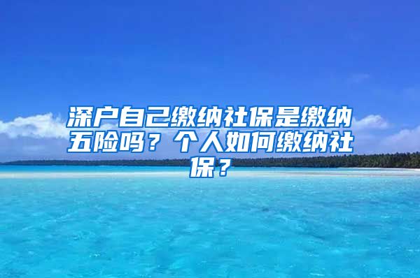 深户自己缴纳社保是缴纳五险吗?个人如何缴纳社保?