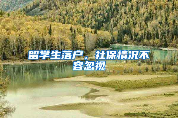 留学生落户，社保情况不容忽视