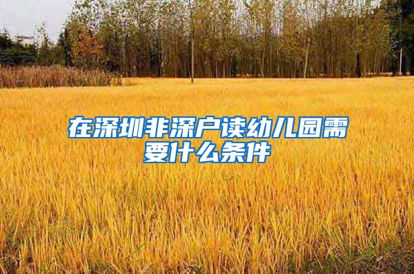 在深圳非深户读幼儿园需要什么条件