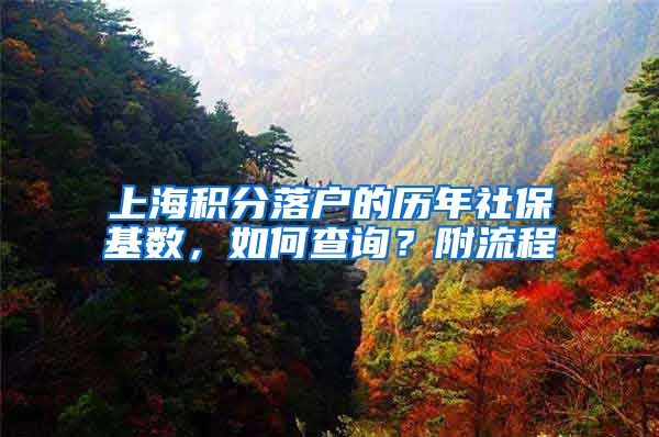 上海积分落户的历年社保基数,如何查询?附流程
