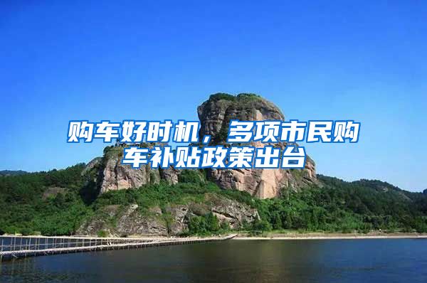 购车好时机，多项市民购车补贴政策出台