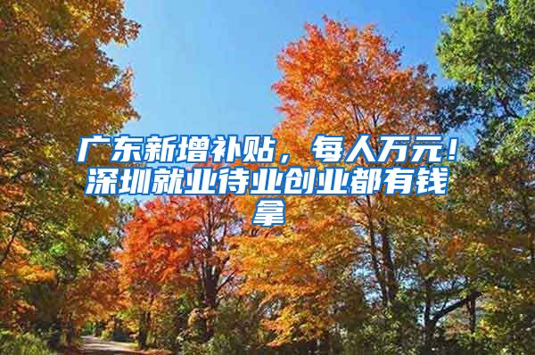 广东新增补贴，每人万元！深圳就业待业创业都有钱拿