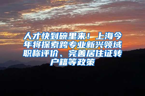 人才快到碗里来!上海今年将探索跨专业新兴领域职称评价、完善居住证转户籍等政策