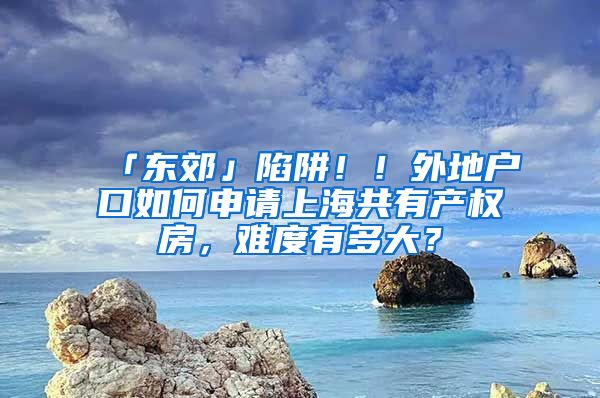 「东郊」陷阱！！外地户口如何申请上海共有产权房，难度有多大？