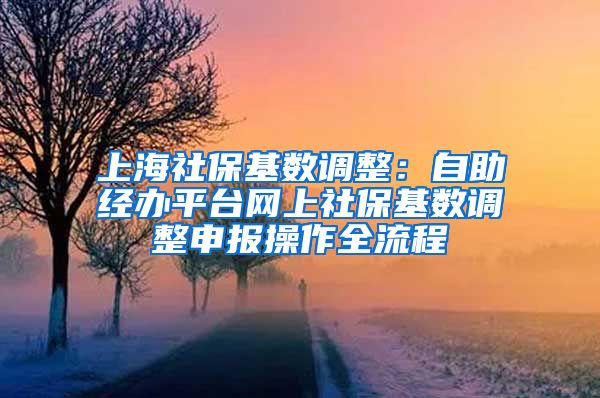 上海社保基数调整：自助经办平台网上社保基数调整申报操作全流程