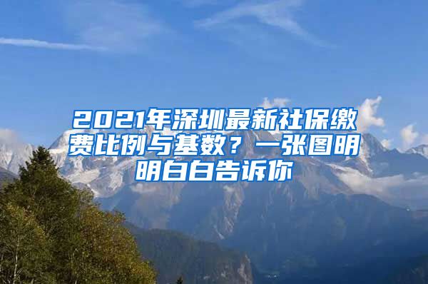 2021年深圳最新社保缴费比例与基数?一张图明明白白告诉你