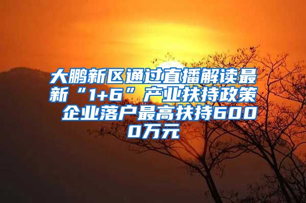大鹏新区通过直播解读最新“1+6”产业扶持政策 企业落户最高扶持6000万元