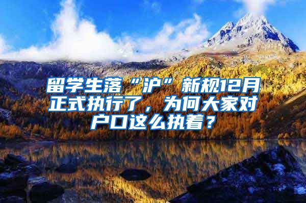 留学生落“沪”新规12月正式执行了，为何大家对户口这么执着？