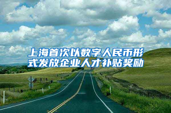 上海首次以数字人民币形式发放企业人才补贴奖励