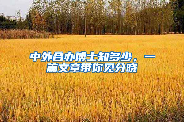 中外合办博士知多少，一篇文章带你见分晓