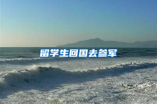 留学生回国去参军