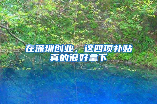 在深圳创业,这四项补贴真的很好拿下