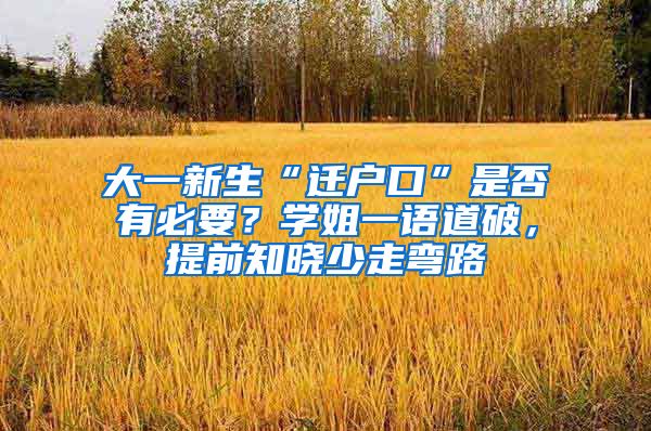 大一新生“迁户口”是否有必要？学姐一语道破，提前知晓少走弯路
