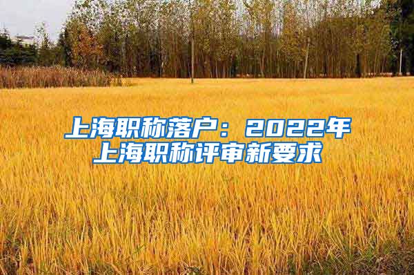上海职称落户:2022年上海职称评审新要求
