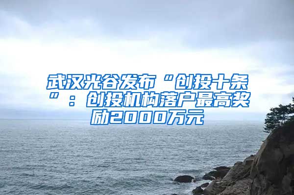 武汉光谷发布“创投十条”:创投机构落户最高奖励2000万元