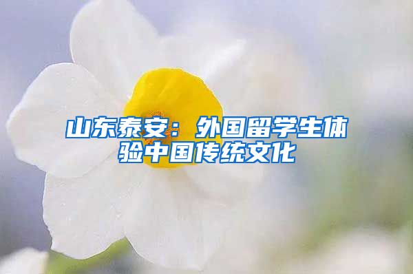 山东泰安：外国留学生体验中国传统文化